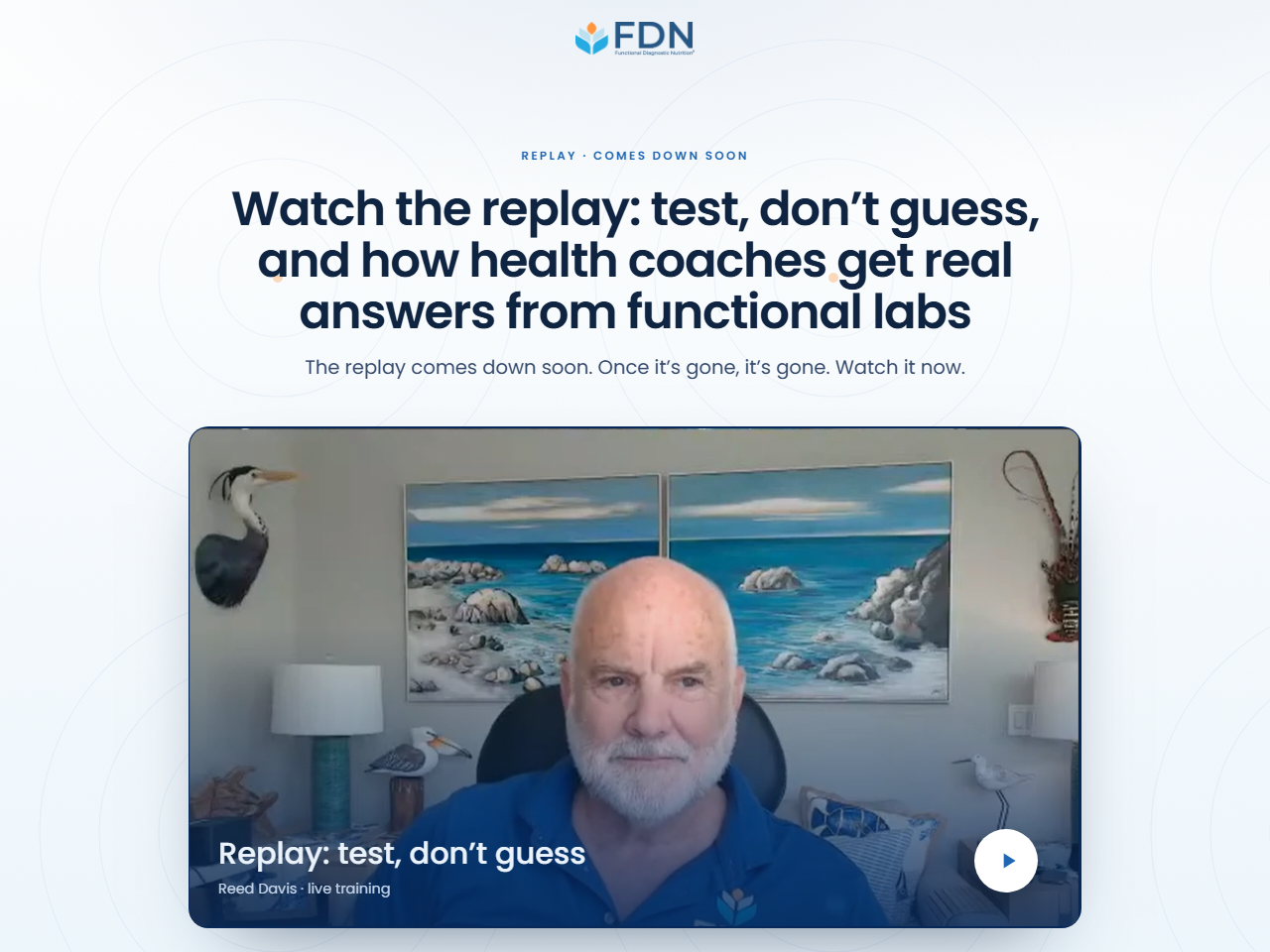Replay + application preview